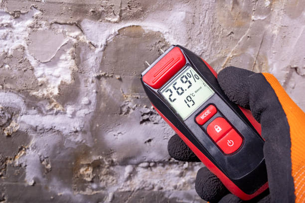Harbor, OR Mold Remediation Company